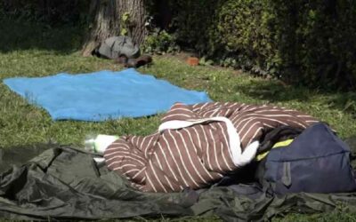 {Video} Groningen: daklozen slapen op grasveld bij Spilsluizen