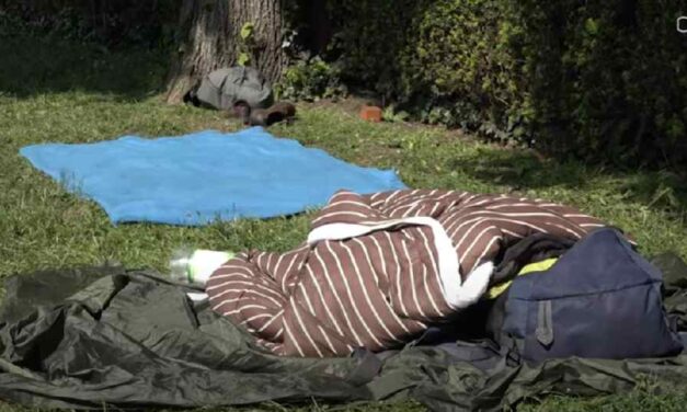 {Video} Groningen: daklozen slapen op grasveld bij Spilsluizen