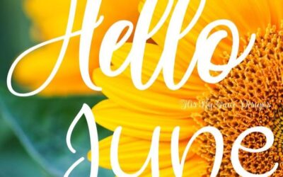 Nieuwsbrief Straat Consulaat juni 2024