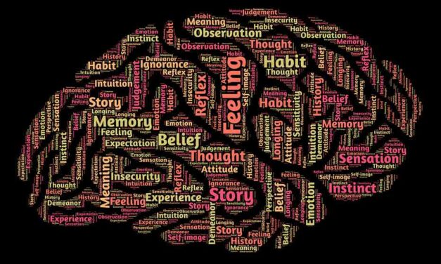 Eigen ervaringen zijn verborgen schat van jongerenwerkers