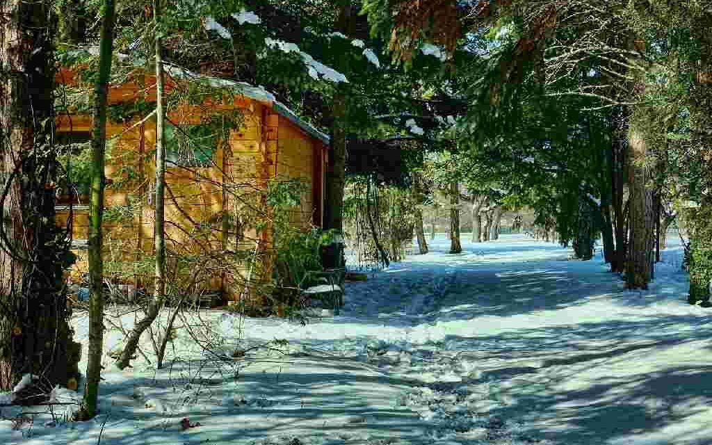 Deuren van volkstuinhuisjes legaal openen voor daklozen? Wethouder ziet niets in dat plan