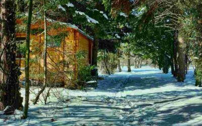 Deuren van volkstuinhuisjes legaal openen voor daklozen? Wethouder ziet niets in dat plan