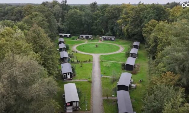 {Video} Op dit speciale terrein krijgen daklozen een nieuw thuis | RTV Oost