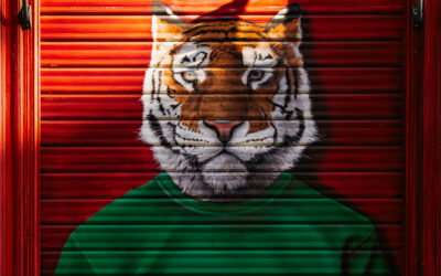 Papieren Tijger voor stadhuis: “Den Haag geeft geen thuis, Den Haag geeft papier”