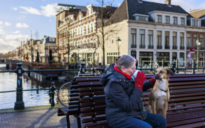 Waarom slaat dit niet in als een bom