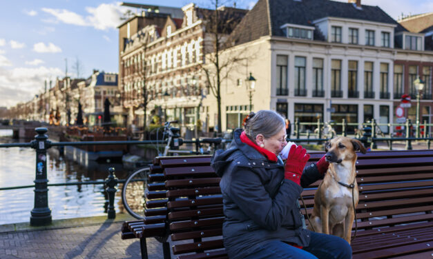Waarom slaat dit niet in als een bom
